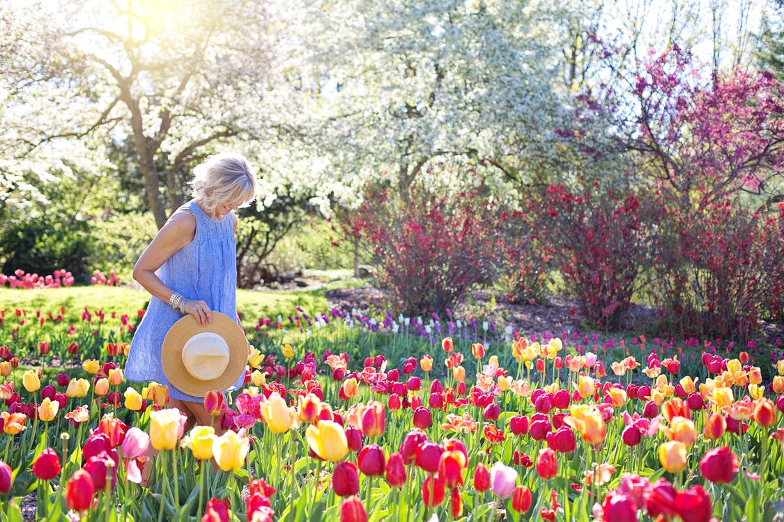 FLOWERS IN ALL SEASONS, BLOOMS