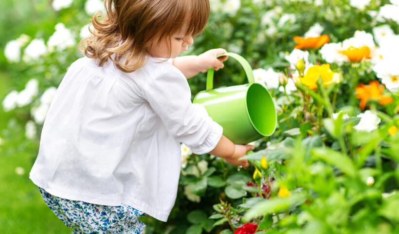 How to Take Care of Flowers Without Flower Food