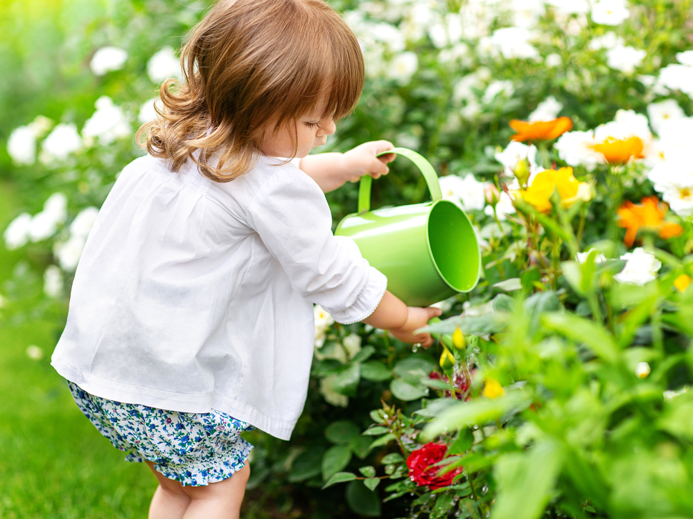 How to Take Care of Flowers Without Flower Food